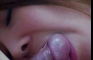 XXX महिलाओं के साथ फुल हिंदी पिक्चर सेक्सी बिल्ली